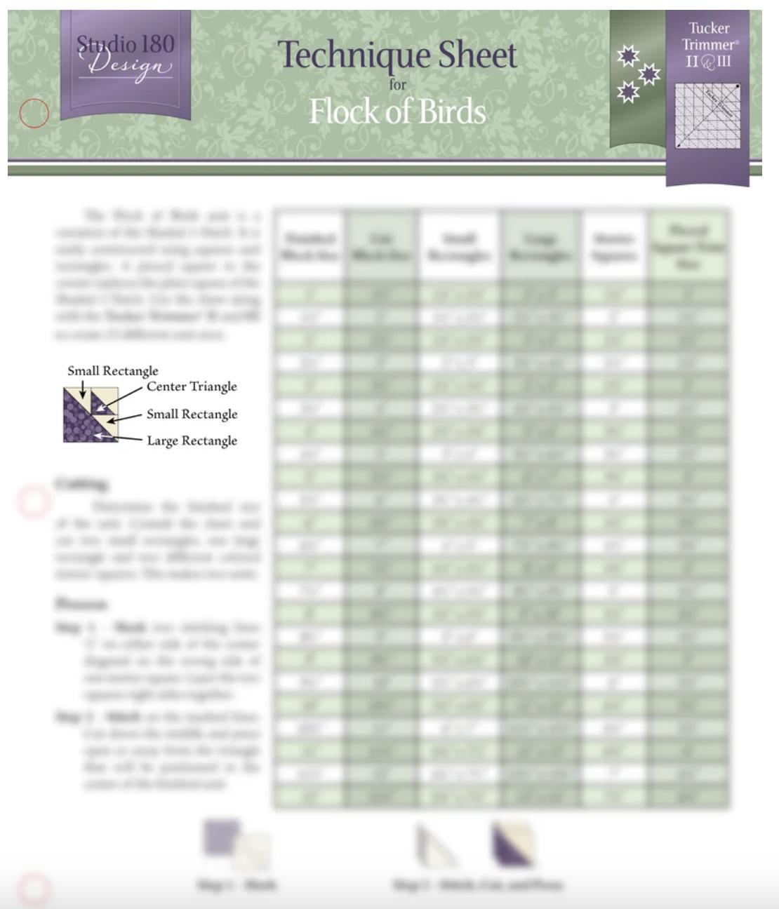 Flock of Birds Technique Sheet - DTEC39