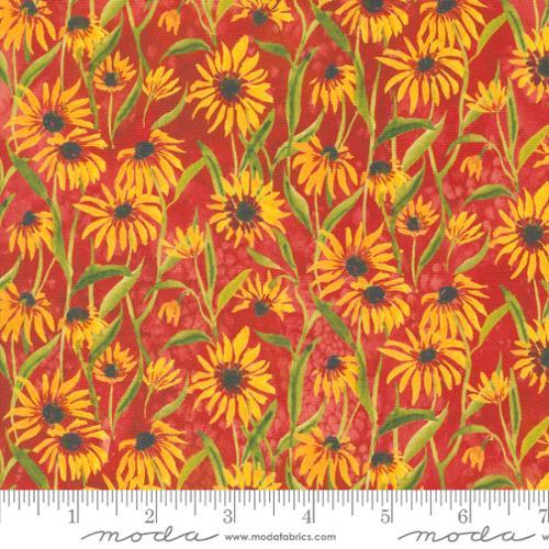 Floribunda Create Joy - Spice  - 539805-14