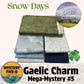 Gaelic Charm  - Snow Days - Mystery Five-0