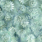 Gaia - Frosted Foliage - Flower Heads - Multi Grey Teal Iceberg - LM912503855