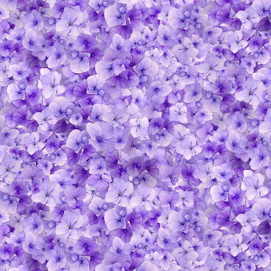 Garden Delight - Viola Floral - CD3505-LILAC