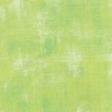 Grunge Basic - Key Lime - 530150-303