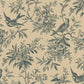 Haberdashery - Tan Toile - R520918D-TAN