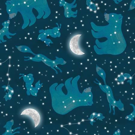 Happy Camper - Dark Blue Constellations Minky  # 2741MK-77