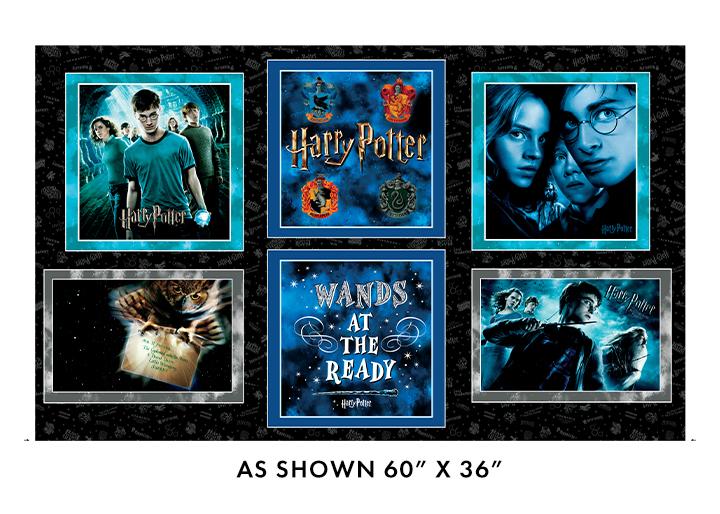 Harry Potter 2nd Edition - Minkee Pillow Panel - Multi - 15260W-12