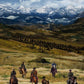 Home on the Range 24" Panel - Western Scenic - CD3860 Multi