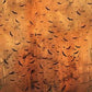 Scary Spice - Honey Bat Crazy 25 Inch # 8822S-49
