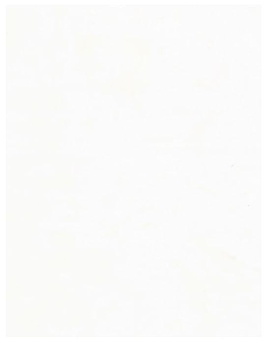 Java Blenders - Tissue - B7900-TIS