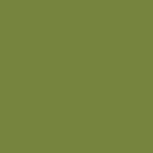 Kimberbell Silky Solids - Prickly Pear - 500-PRPE
