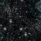 Magical Minkee - 60" - Black - 15280W-12