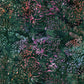 Mayfair - Stamped Tropical Leaves - B3679-Mayfair