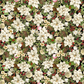 Merry Christmas Holiday - Holiday Floral Metallic - CM4144 MAGN