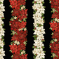 Merry Christmas Poinsettia - CM4142-Black