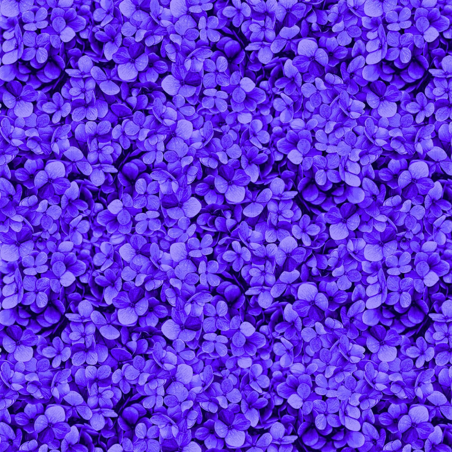 Midnight Bloom - CD3387-Purple