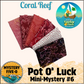 Mystery Five-0- Coral Reef - Pot O' Luck Mini Mystery #6