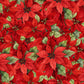 Poinsettia Radiance - Pack Poinsettia - Red - LMW110-6-336