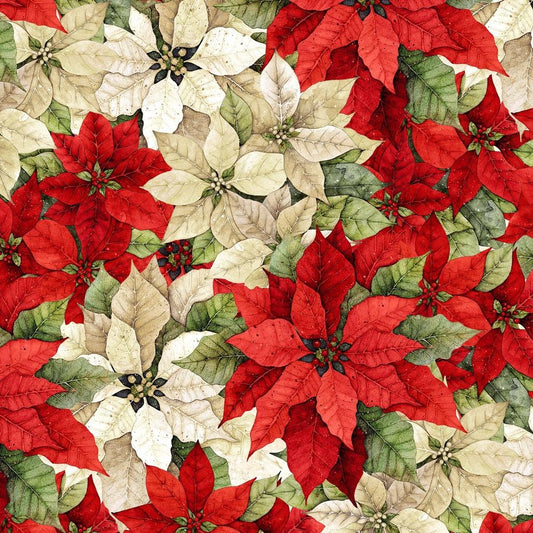 Poinsettia Radiance - Packed Poinsettia - Cream/Red - LMW110-6-306