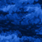 Royal Blue Misty # Y2539-31