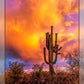 Saguaro Sunset Panel 16in x 22in # DCS-004