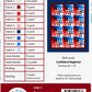 Ticket to Cypress Hills Cotton Quilt Kit