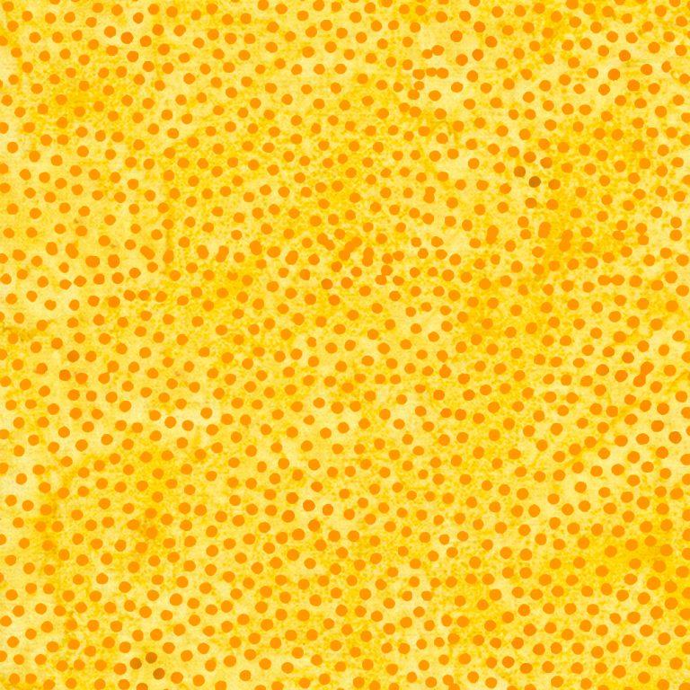 Seaside - Spots - Yellow Bumblebee - 711905225