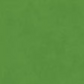 Shadow Play Flannel Grass # F513M-G72