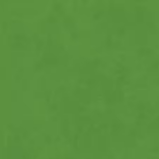 Shadow Play Flannel Grass # F513M-G72