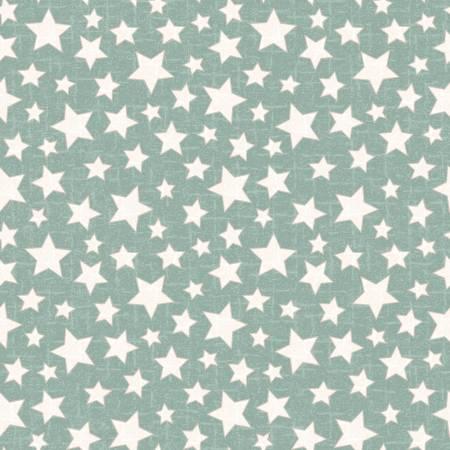Snowtop Mountain - Aqua Star Flannel # F11165M-Q