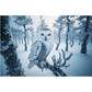 Snowy Owl on Branch Panel 20.5in x 17in # BBP-014
