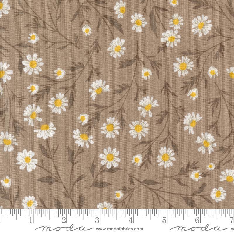 Sun Drenched - Tan - 543200-13