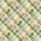 Sunkissed - Green Plaid - 33920-175