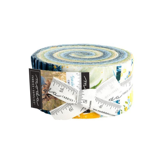 Sunshine & Blue Skies Jelly Roll® JR39820