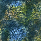 Tonga Forest Floor Batik - Autumn Leaves - B5029-Grove