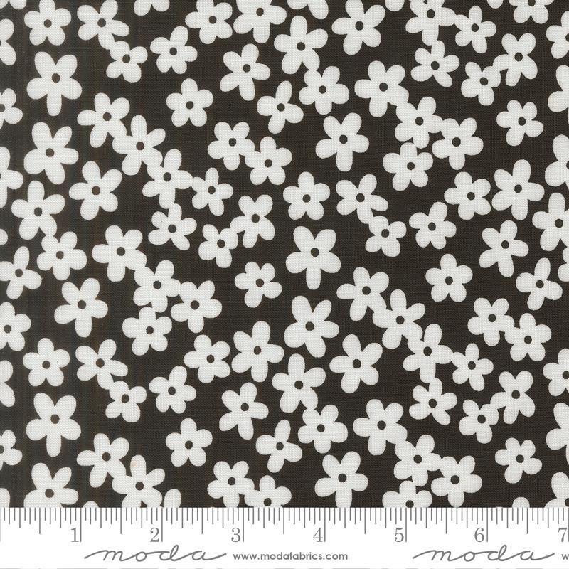 True To Hue -  Black As Night - 511562-12