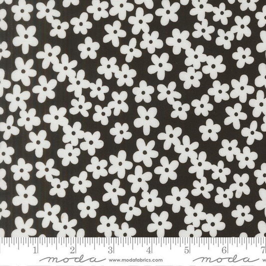 True To Hue -  Black As Night - 511562-12