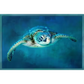 Underwater Sea Turtle Panel 20in x 13in # OCE-015