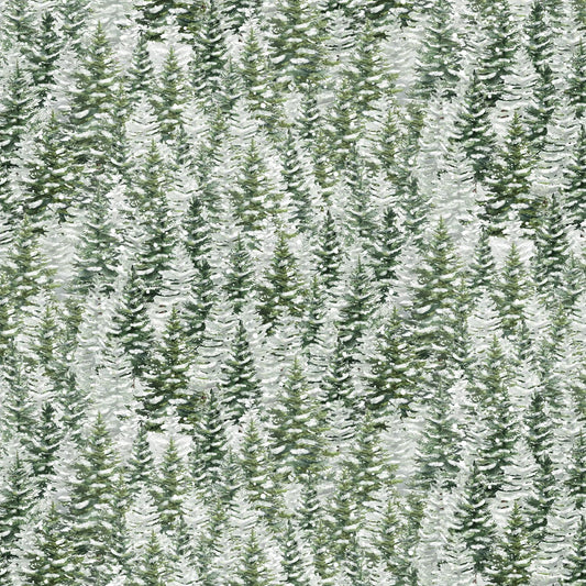 Winter Wonderland - Forest - CD3694  FOR