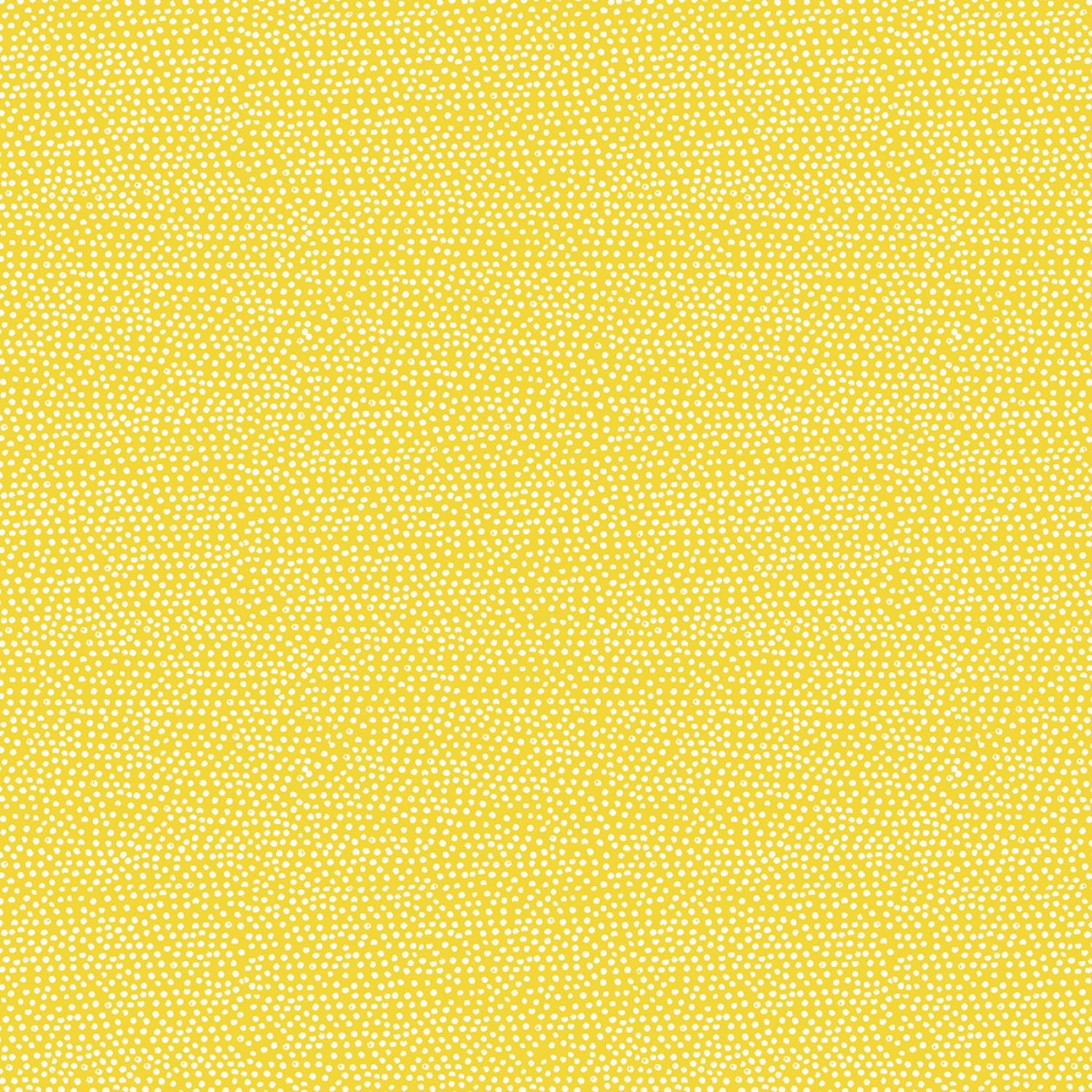 Buttercup - C1130-Yellow