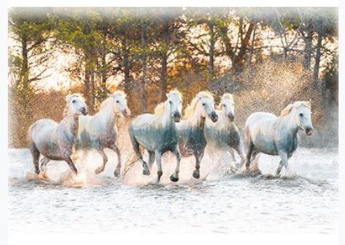 Call of the Wild Rusty Panel - 25069-700