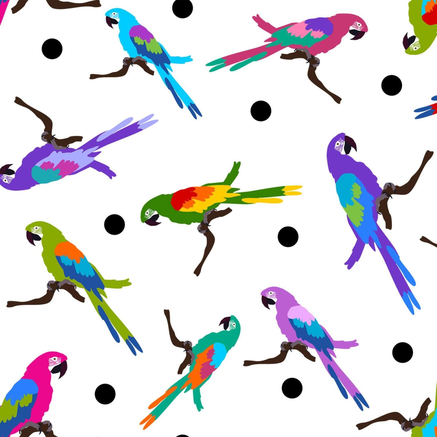Colorful - Parrots Digital Print - Mult Color - IBFCOL3COL-1