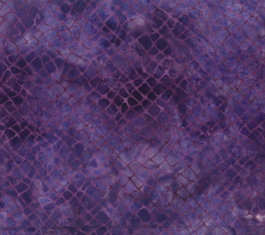 Decode This - Purple - 80732-84
