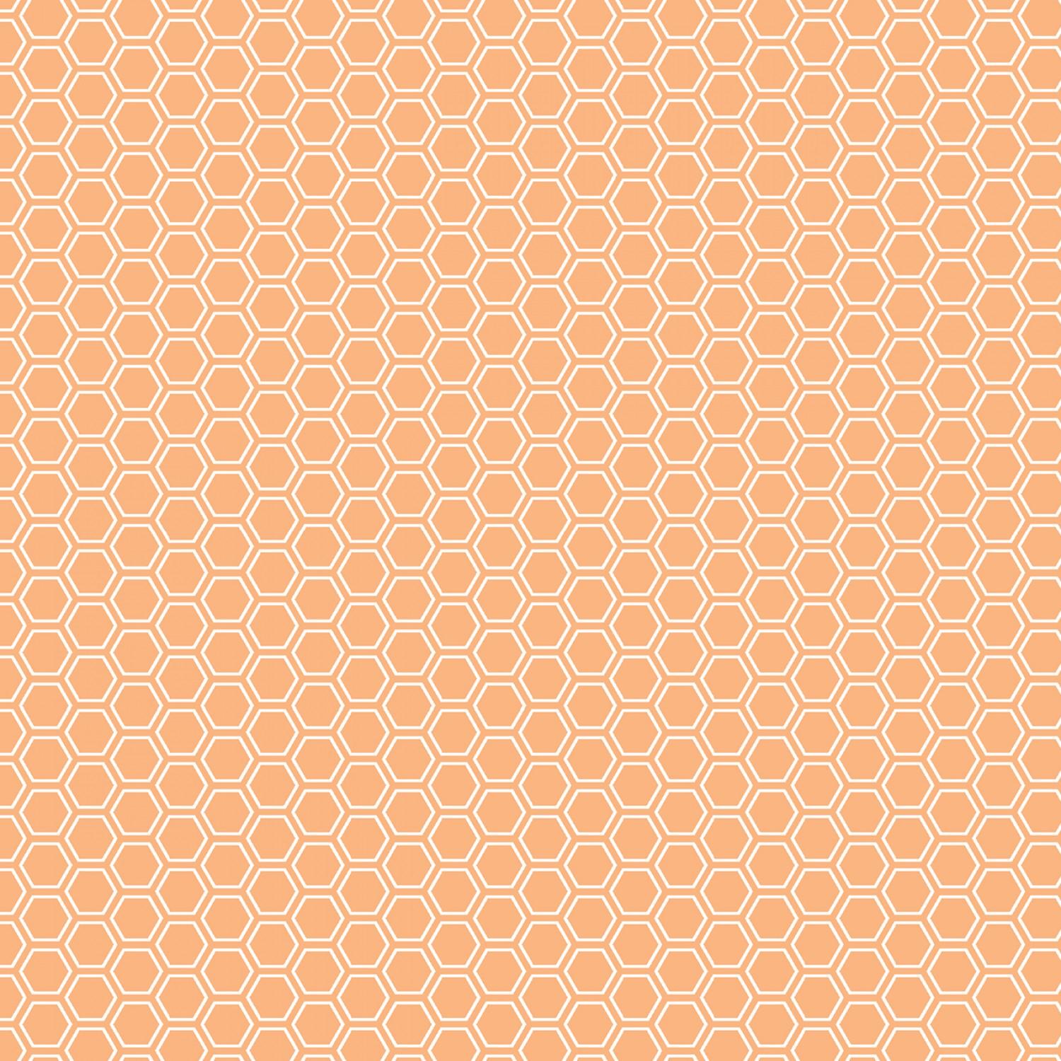 Kimberbell Basic - Orange - Honeycomb - 8256-O