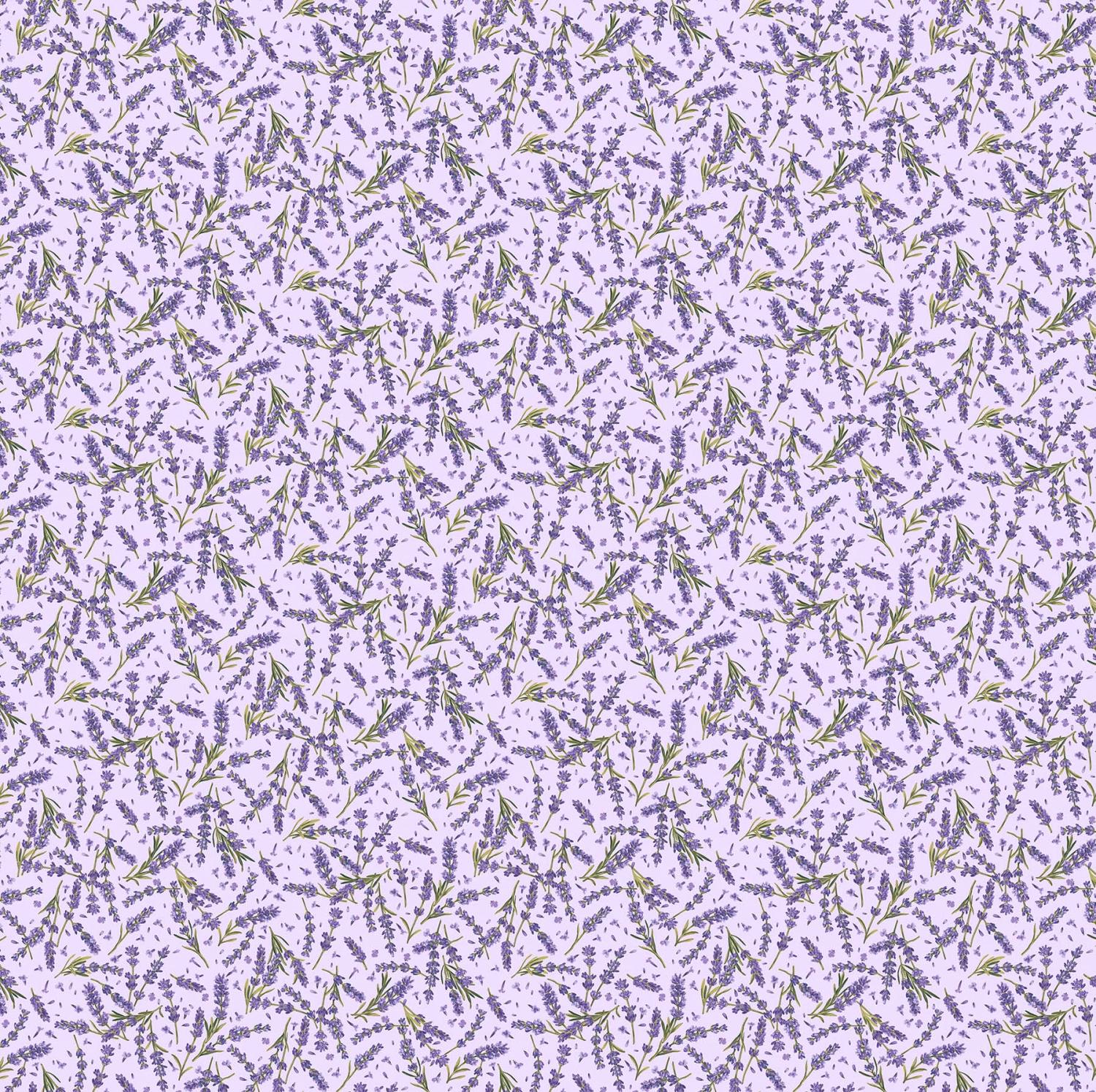 Lavender Market - Purple - 24475-81