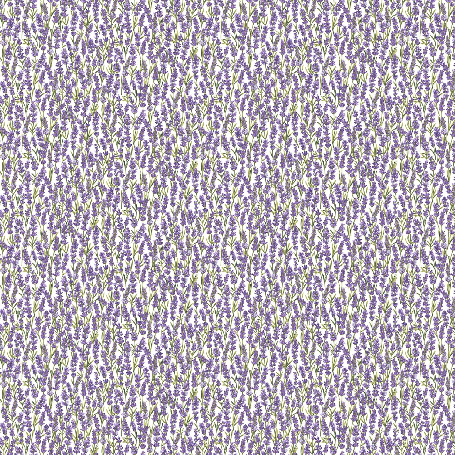 Lavender Market - Purple - 24476-10