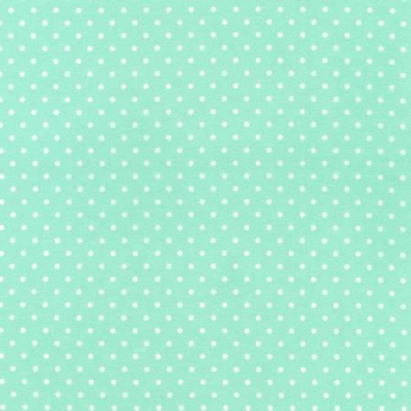 Mint/White Dots on Flannel # FIN925532