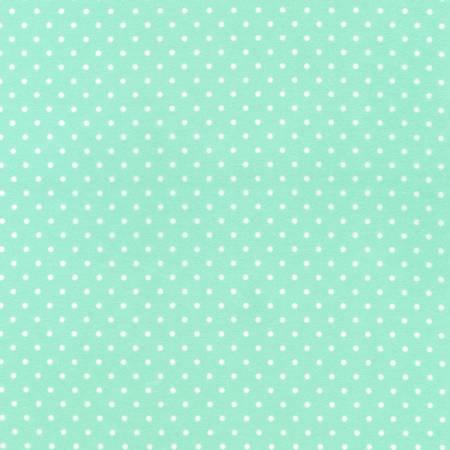 Mint/White Dots on Flannel # FIN925532