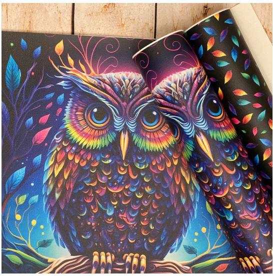 Rainbow Owl Panel Printed Vinyl