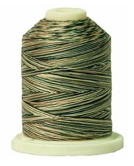 Signature Thread - Varigated - Green House - 700 yards - T41SM004