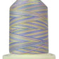 Signature Thread - Varigated - Pastels - 700 Yards - T41SM007