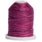 Signature Thread - Varigated - Raspberries - 700 yards - T41SM079